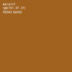 #A1611F - Reno Sand Color Image